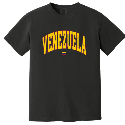 Venezuela T-Shirt