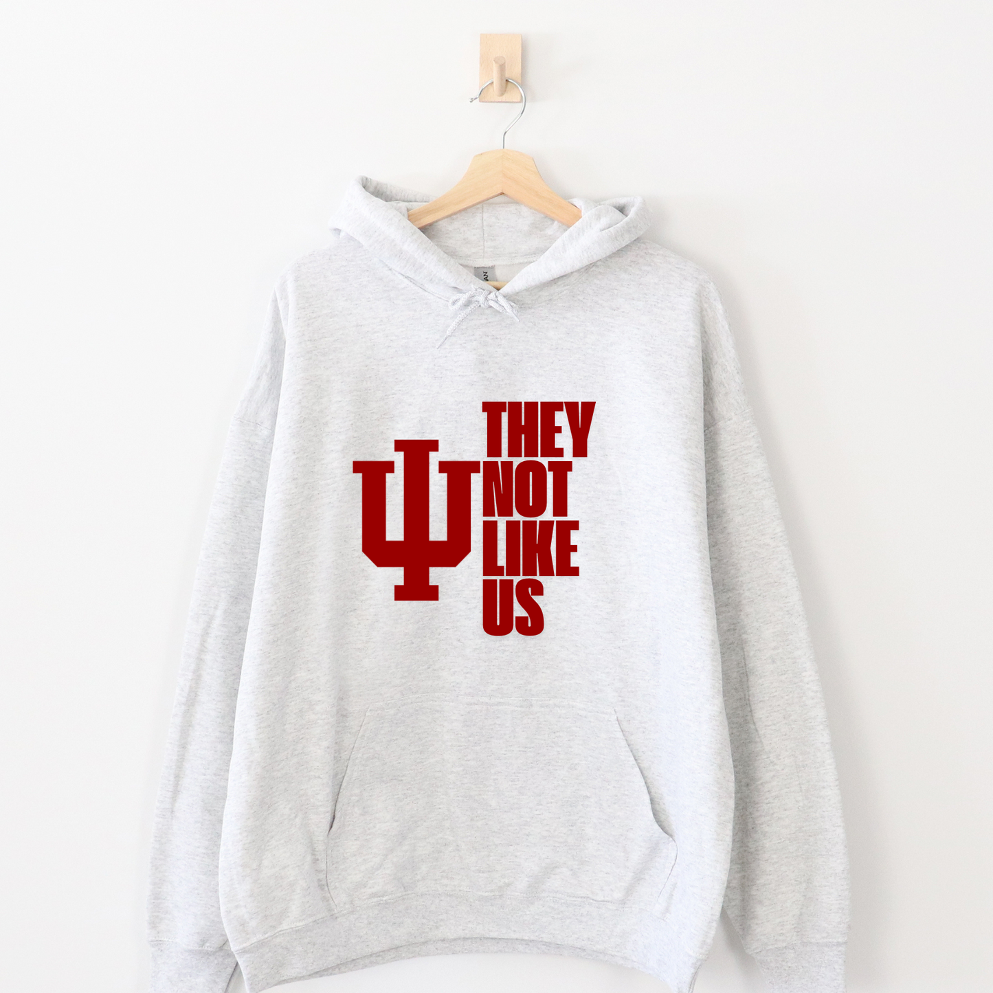 They Not Like Us IU Hoodie